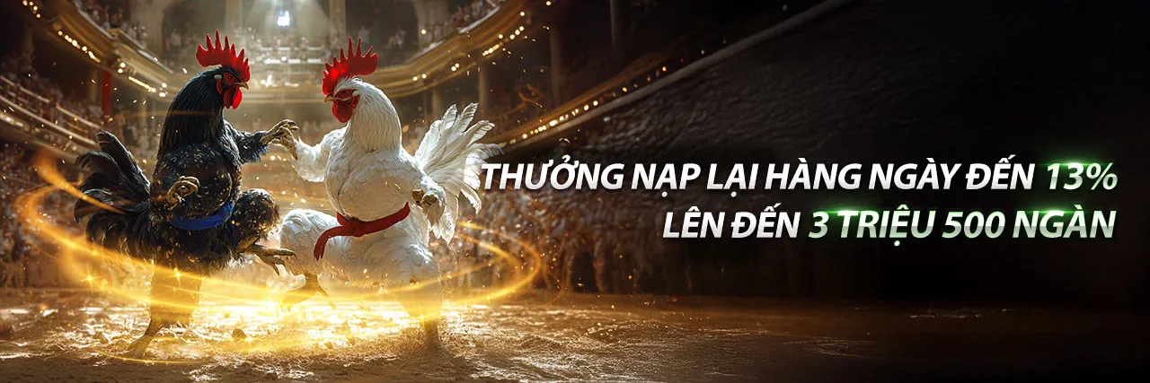 Hình ảnh giới thiệu về gg8805 trang chủ chính thức