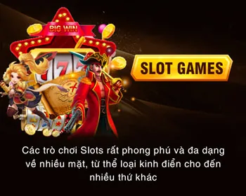 Đội ngũ hỗ trợ đối tác